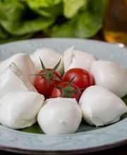 Gallery Professionale