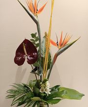 Ambiance et Fleurs image 12
