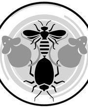 Schädlingsbekämpfung Schätzlein Bild 2