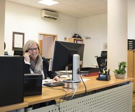 Bürokratie