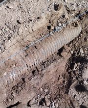 Reformas y consultoría de proyectos SLU imagen 5