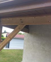 Termites Master image 7