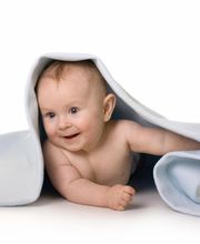 Studio Photo 84 image 6