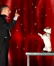 Vitotel Cabaret image 3