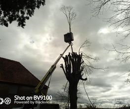 RGH 03 image 14