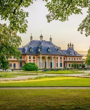 Dogrunners Concierge Service Bild 12