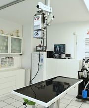 Tierarzt Falkensee, Fell & Pfote Tierarztpraxis Berlin Falkensee Bild 3