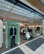 Overall View - Windows (Hero Image)