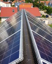 Taubenschutz & Consulting Bild 3