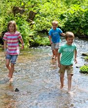 Camping Erbenwald Bild 18