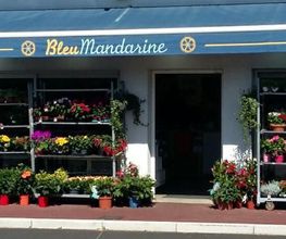 Bleu Mandarine image 12