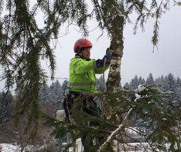 Skytech GmbH Bild 3