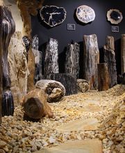 Welt der Kristalle Museum & Shop Bild 5