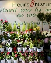 Fleurs Ô Naturel image 2