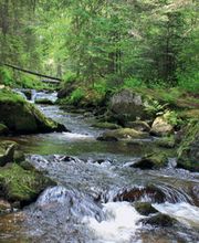 Oekologische Reinigungen Bild 3