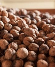 Moulin de Sévery Bild 9