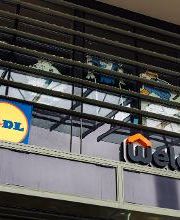 Weldom Rennes La Visitation image 19