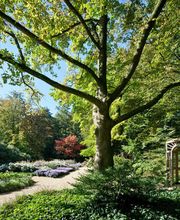 Holiday Inn Express Guetersloh by IHG Bild 13