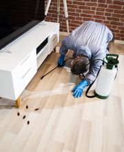 residental pest exterminators