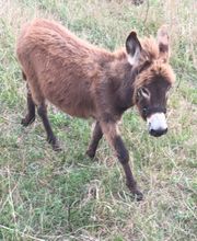 Copeland Insurance Agency, Inc. image 19