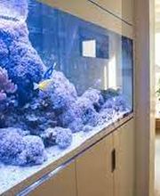 Augenarztpraxis am See AG Bild 9