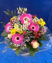Blumen Haider Bild 20