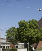 Kirche St. Michaelis - Ev. Mirjam-Gemeinde Bild 1