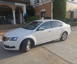 Taxi Ayamonte Javier imagen 10