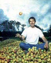 SAS Barbé - Cidrerie le P'tit Fausset image 1