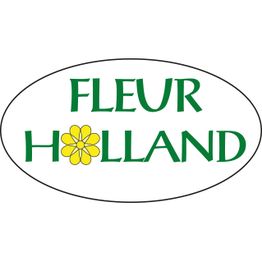Fleur Holland Blumen