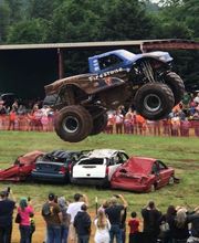 University Tire and Auto Centers - Orange image 11