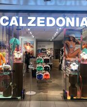 Calzedonia image 1