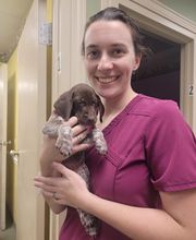 Athens Animal Clinic image 2