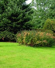 les Jardins de Benjamin Sàrl Bild 4