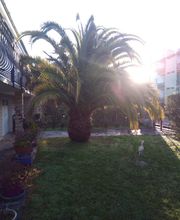 Multi Services Occitanie image 10