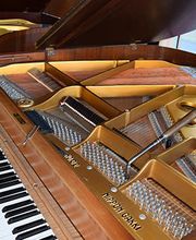 Hermans Thomas Bild 5