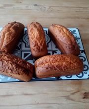 Langlet Arnaud image 14