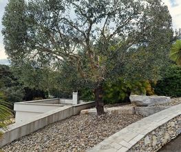 Bastidon Jardin image 7