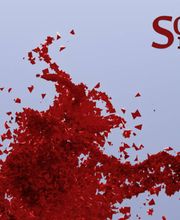 SCHEIRO IT-Service & Webdesign Bild 3