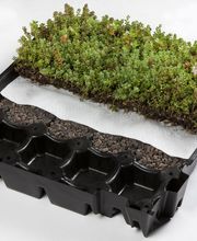 Normandie Gazon image 1