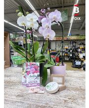 Bricomarché Foix image 10