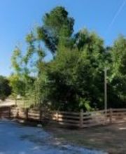 Basecamp RV Park Hartwell image 1