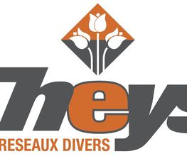 Theys V.R.D image 2