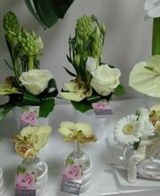 Fleur D'O image 11
