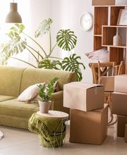 HG TRANSPORTES - Mudanzas, Vaciado de Pisos y Transportes en Tenerife imagen 11