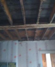 Pinchon Benoît image 7