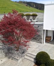 Peter Staub AG Bild 6