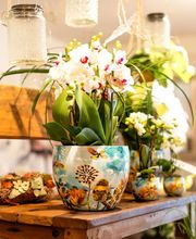 schöner schenken GmbH Bild 4