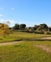 Residencia de Ancianos Las Rozas, Madrid | VITALIA HOME imagen 2