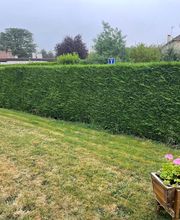 QG Espaces Verts image 9